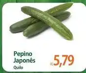 Atacadão Japonês - pepino japonês oferta