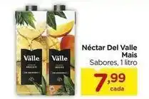 Carrefour Del valle - néctar oferta