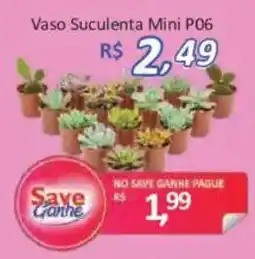 Supermercados Savegnago Vaso Suculenta Mini P06 oferta