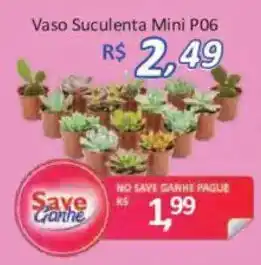 Vaso Suculenta Mini P06