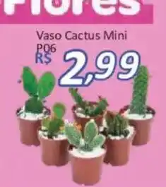 Supermercados Savegnago Vaso Cactus Mini oferta