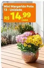 Max Atacadista Mini - margarida pote oferta