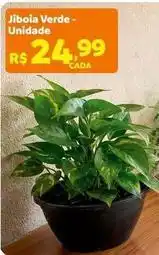 Max Atacadista Jiboia verde- unidade oferta