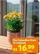 Max Atacadista Flor - pote 15 unidade oferta
