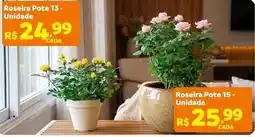Max Atacadista Roseira pote oferta