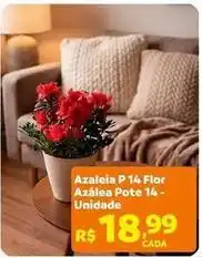 Max Atacadista Flor - azaleia p 14 oferta
