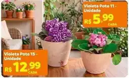 Max Atacadista Violeta pote 15- unidade oferta
