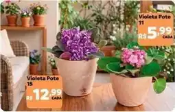 Max Atacadista Violeta pote oferta