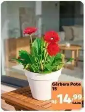 Max Atacadista Gérbera pote oferta