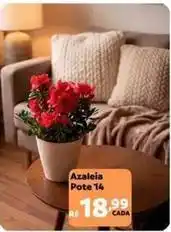 Max Atacadista Azaleia pote oferta