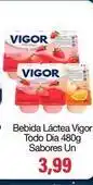 Spani Atacadista Vigor - bebida láctea todo dia oferta