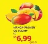 Assaí Atacadista Tommy - manga-palmer ou oferta