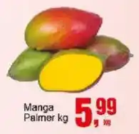 Negreiros Manga palmer oferta