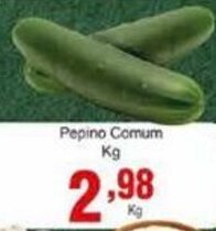 Rossi Supermercado Pepino Comum 1kg oferta