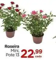 Carrefour Roseira oferta