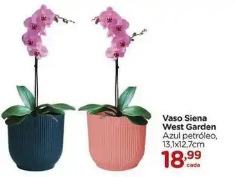 West garden - vaso siena