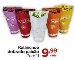 Carrefour De - kalanchoe dobrado paixão oferta