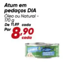 Dia Dia - atum em pedaços oferta