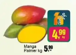 Negreiros Manga palmer oferta