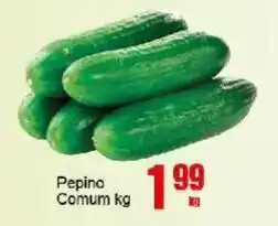 Negreiros Pepino Comum oferta