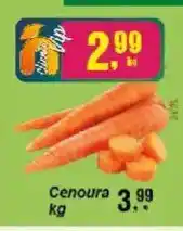 Negreiros Cenoura oferta