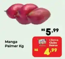 Manga palmer kg
