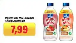 Spani Atacadista Milk mix - iogurte mix serramar oferta