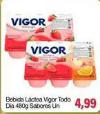 Spani Atacadista Dia - bebida láctea vigor todo oferta