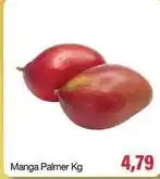 Spani Atacadista Manga palmer oferta