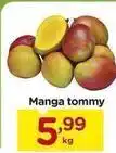 Carrefour Tommy - manga oferta