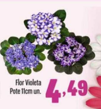 Rede Top Flor Violeta Pote 11cm Un. oferta