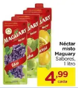 Carrefour Néctar Maguary Sabores oferta