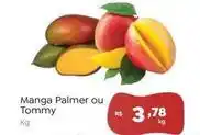 Novo Atacarejo Manga palmer oferta