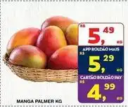 Roldão Mais - manga palmer oferta