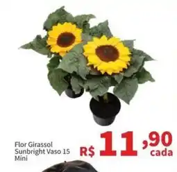 Macromix Atacado Flor girassol sunbright vaso 15 mini oferta