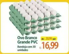 Atacadão Ovo branco grande pvc oferta