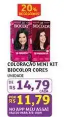 Assaí Atacadista Biocolor - coloração mini kit cores oferta