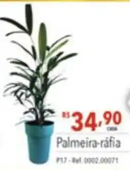 Gigante Atacadista Palmeira-ráfia oferta