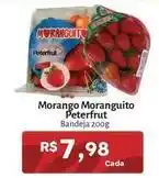 Novo Atacarejo Peterfrut - morango moranguito oferta