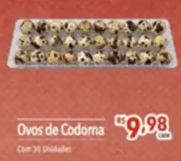 Gigante Atacadista Ovos de Codorna oferta