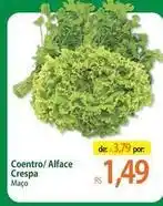 Atacadão Coentro/alface crespa oferta