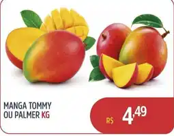 Quartetto Supermercados Manga tommy ou palmer kg oferta
