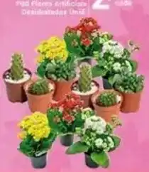 X Supermercados Pog Flores Artificiais Desidratados Unid. oferta