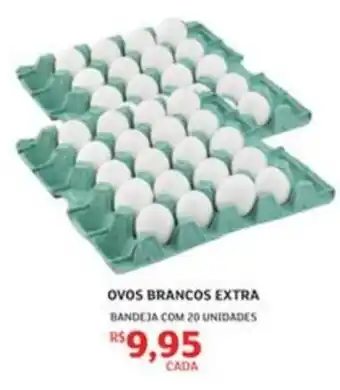 Ovos brancos extra
