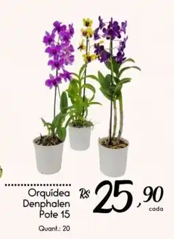 Giassi Supermercados Orquídea Denphalen oferta