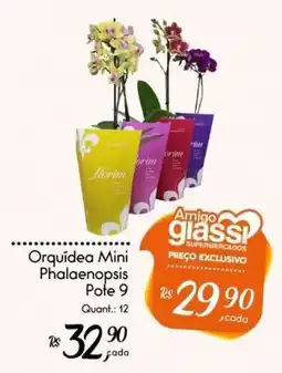 Giassi Supermercados Orquídea Mini Phalaenopsis oferta