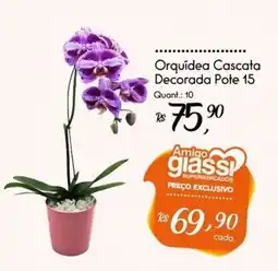 Giassi Supermercados Orquídea Cascata Decorada oferta