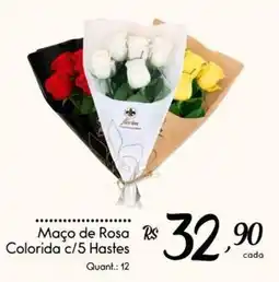 Giassi Supermercados Maço de Rosa Colorida c/5 Hastes oferta