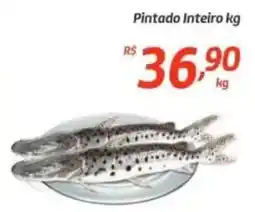 Comper Pintado Inteiro oferta