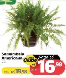 Supermercado Jacomar Samambaia Americana oferta
